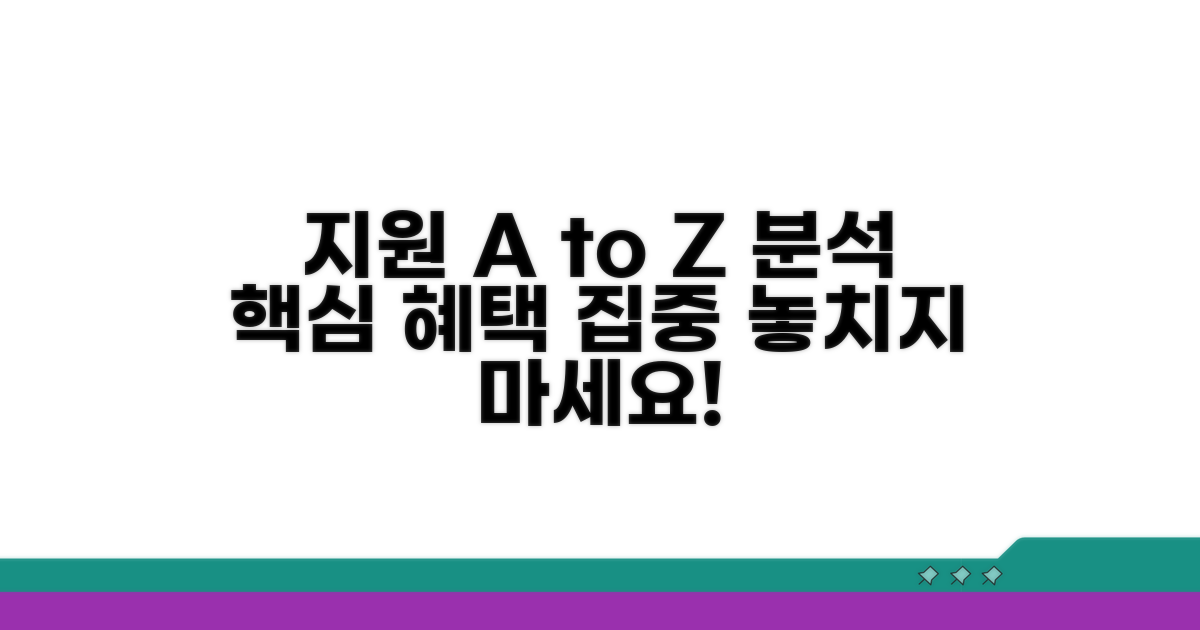 지원 내용 상세 분석