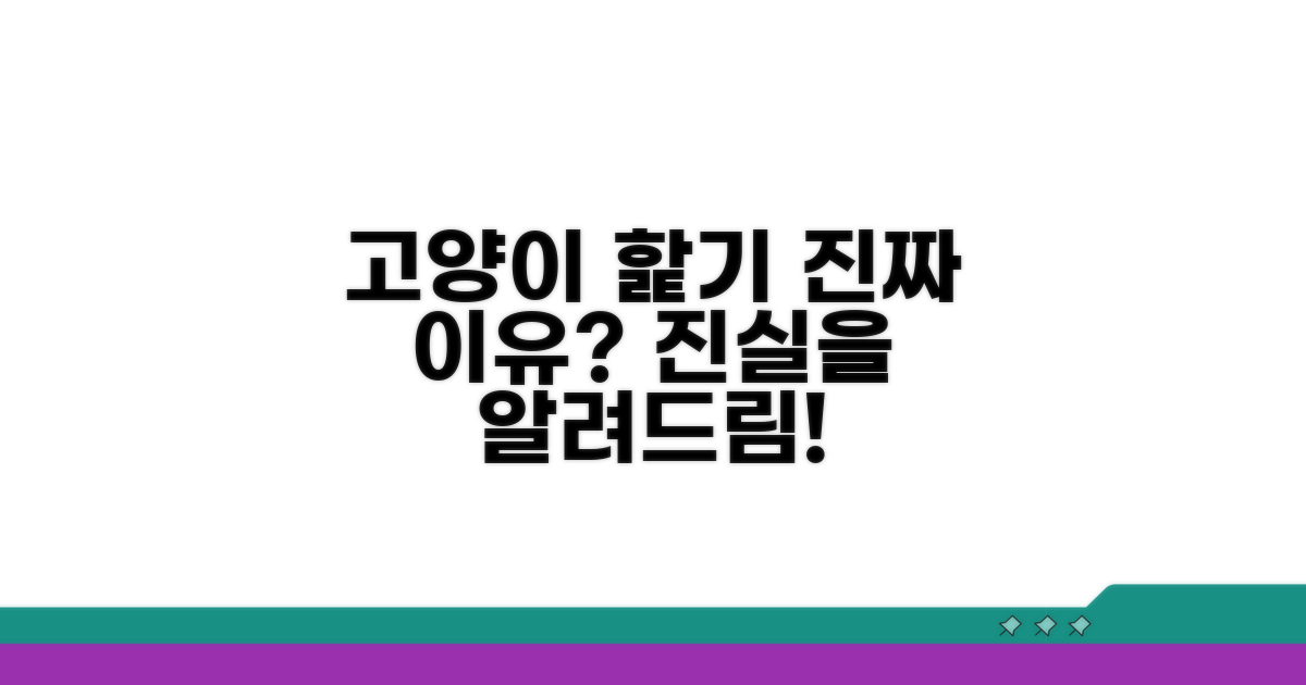 고양이 핥기에 대한 오해와 진실