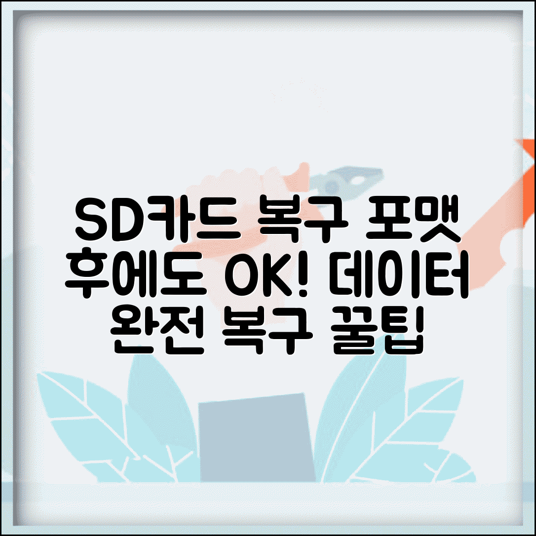 SD카드 삭제 복구방법 메모리카드 | 디지털카메라 스마트폰 SD카드 포맷 후 데이터 완전 복구