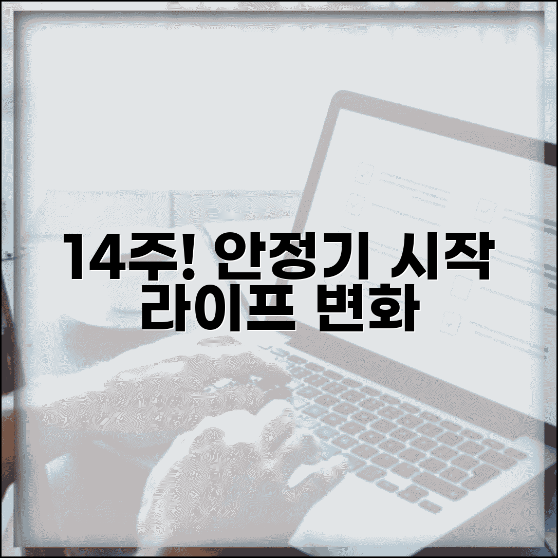 임신 안정기 시작 시점 | 14주부터 달라지는 생활 패턴