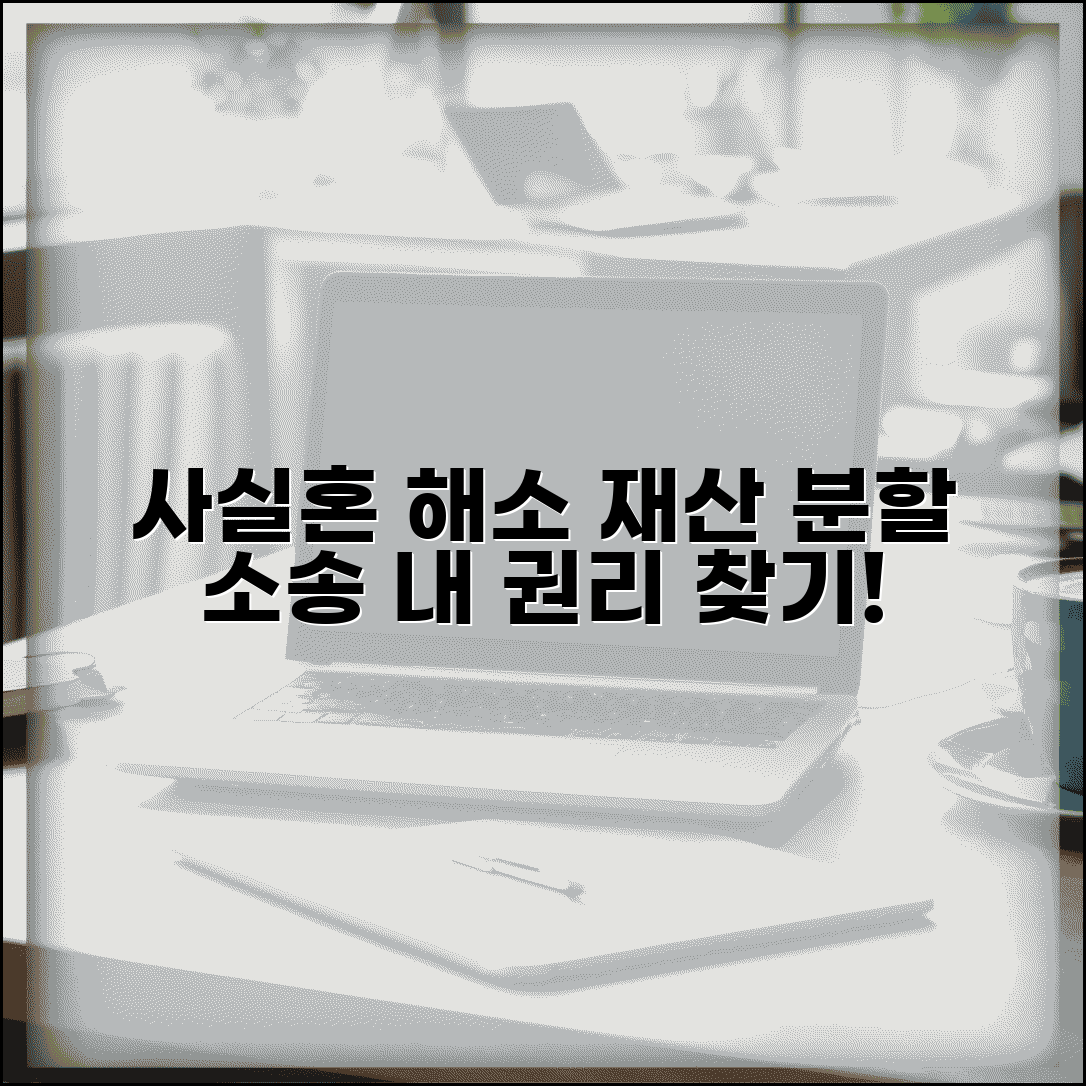 사실혼 해소 재산 분할 청구 | 사실혼 재산 분할 소송