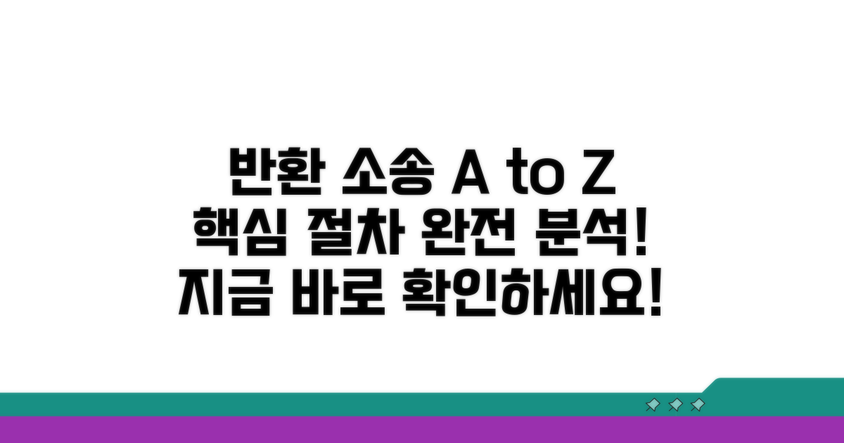 반환 청구 소송, 핵심 절차 분석
