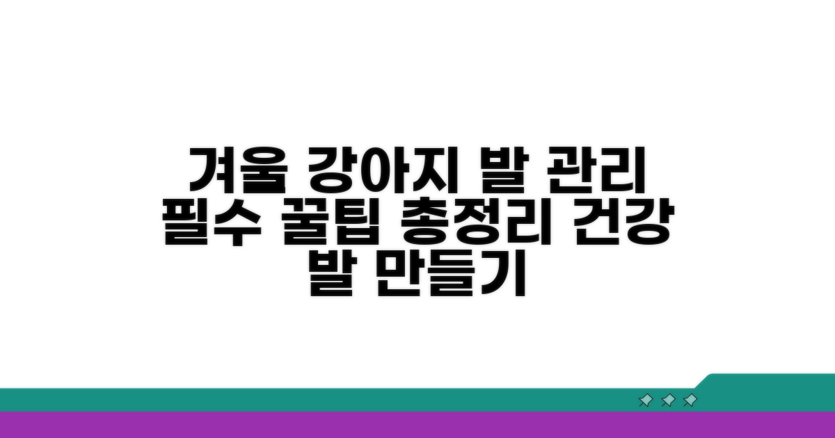 강아지 겨울 발관리 핵심 총정리